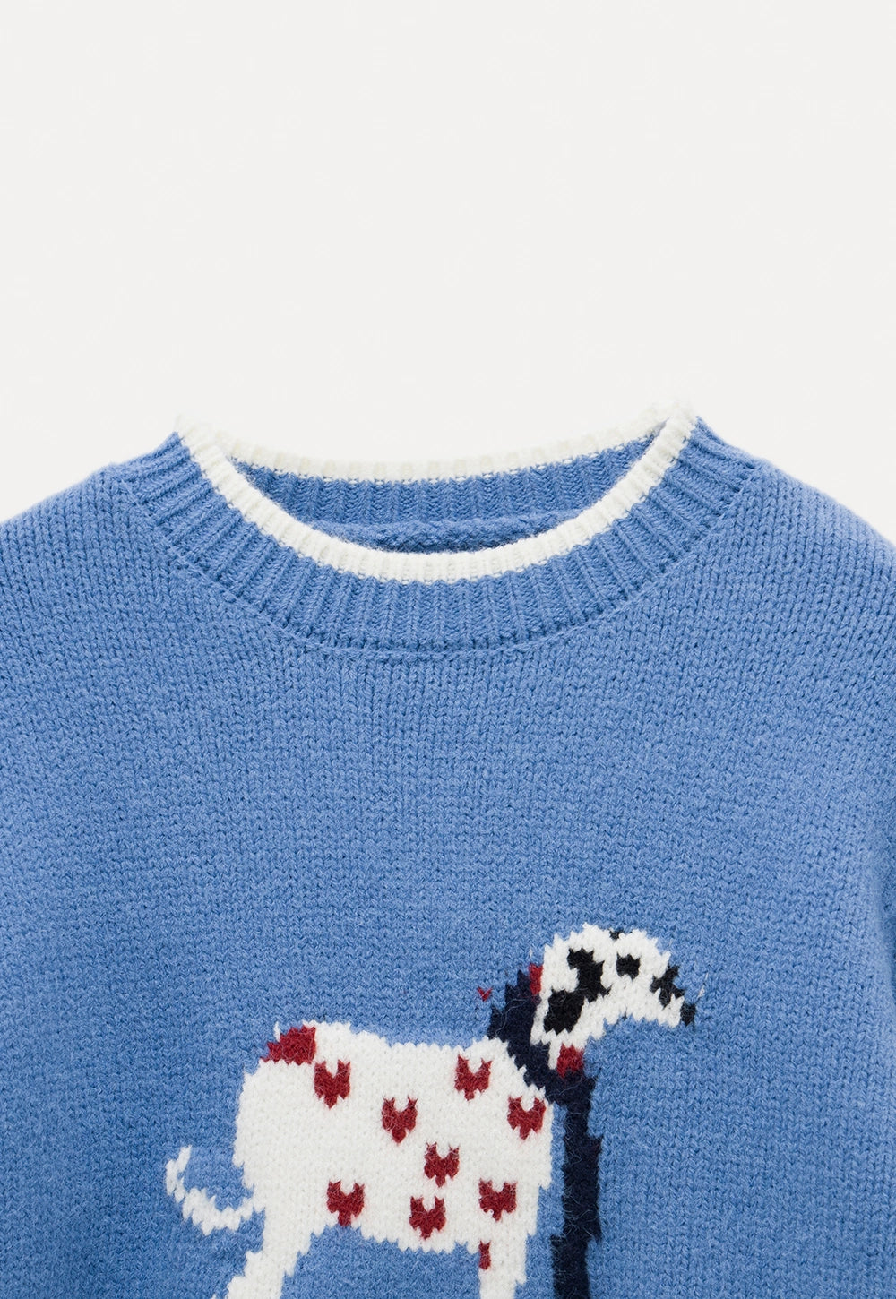 Women's Graphic Crew Neck Knit Sweater